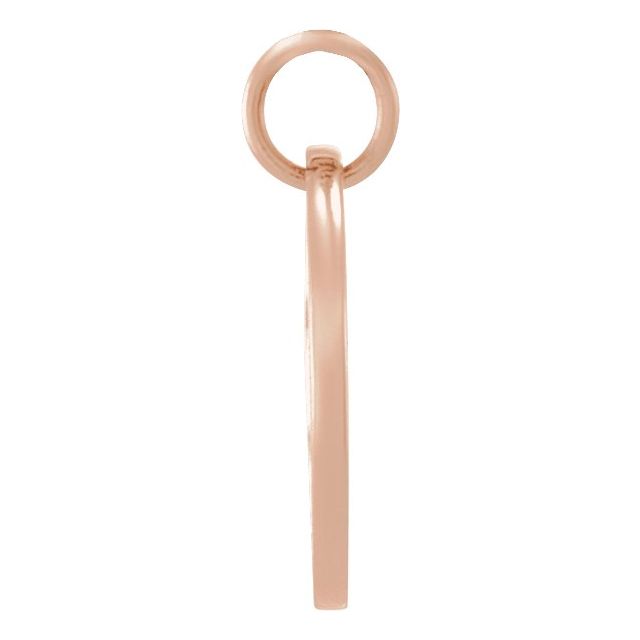 14 Karat Rose Gold Small Ichthys Fish Round Disc Pendant or Necklace